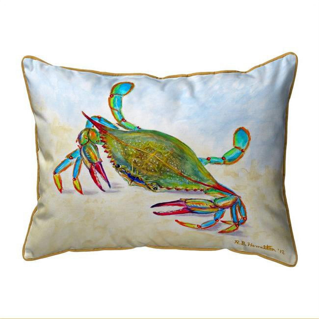 16 x 20 in. More Than Blue Large Indoor & Outdoor Pillow
