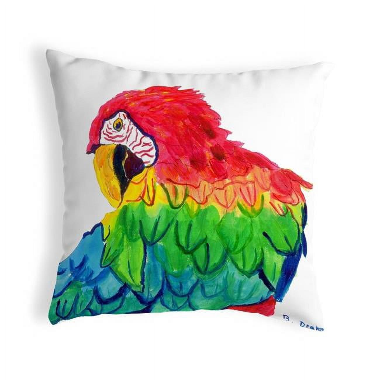 12 x 12 in. Parrot Head Small No-Cord Pillow