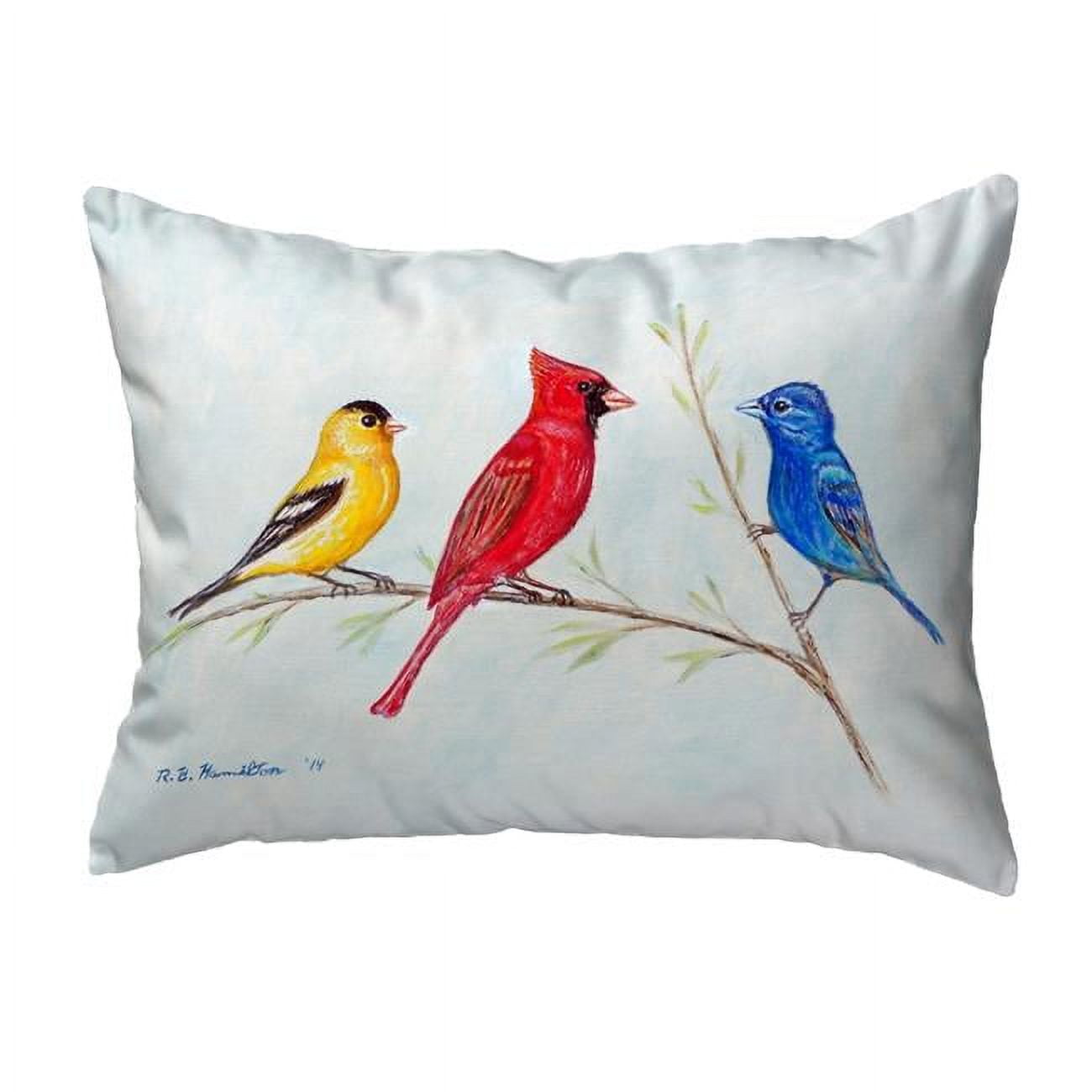 11 x 14 in. Three Birds Small No-Cord Pillow