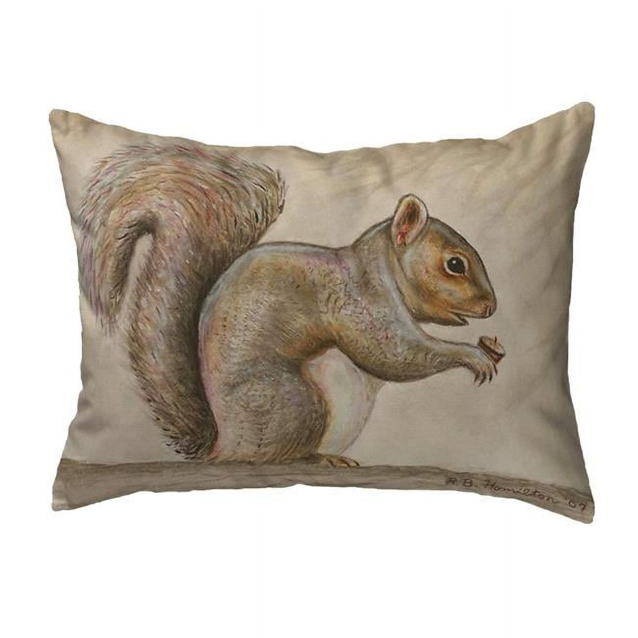 11 x 14 in. Squirrel Small No-Cord Pillow