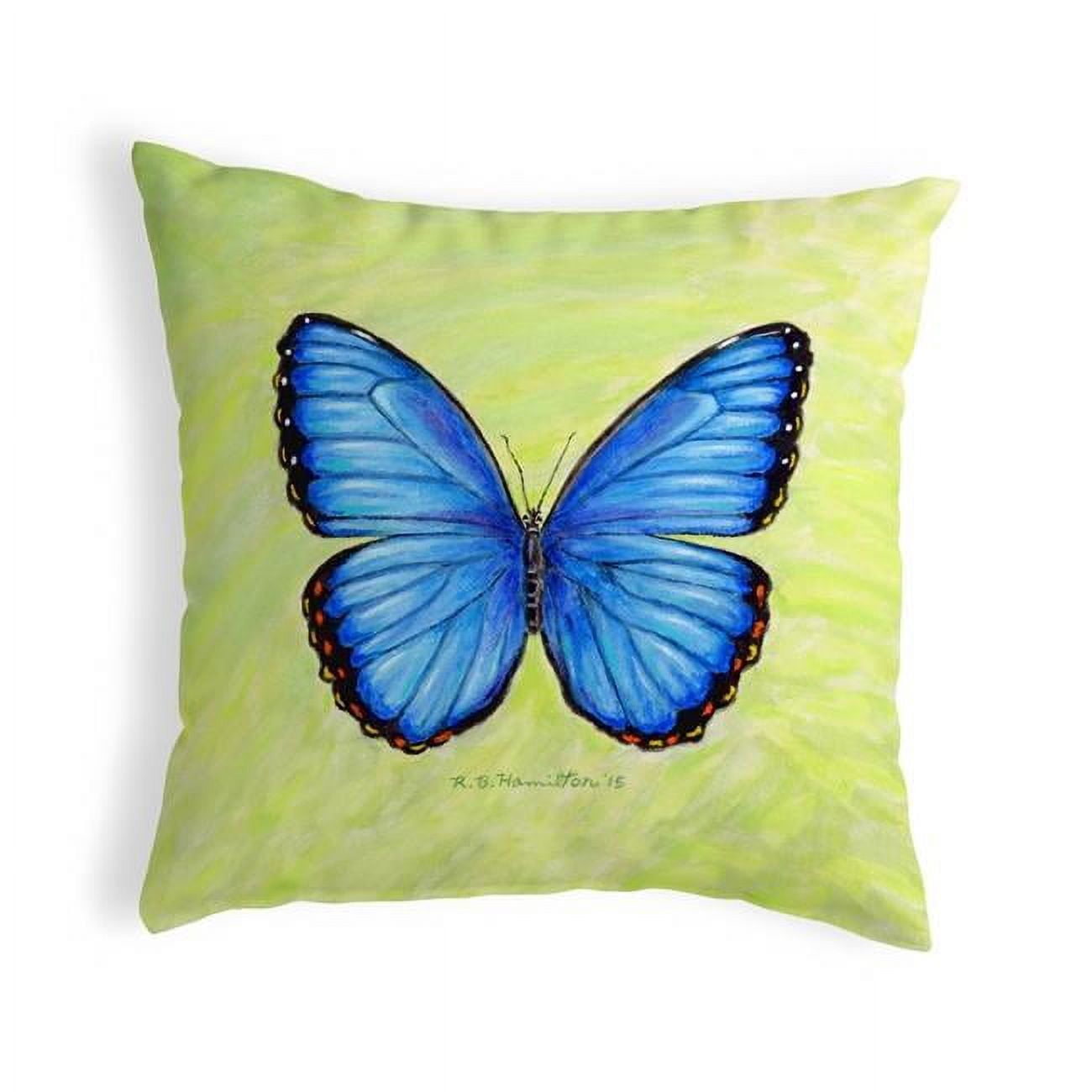 12 x 12 in. Dicks Blue Morpho Small No-Cord Pillow