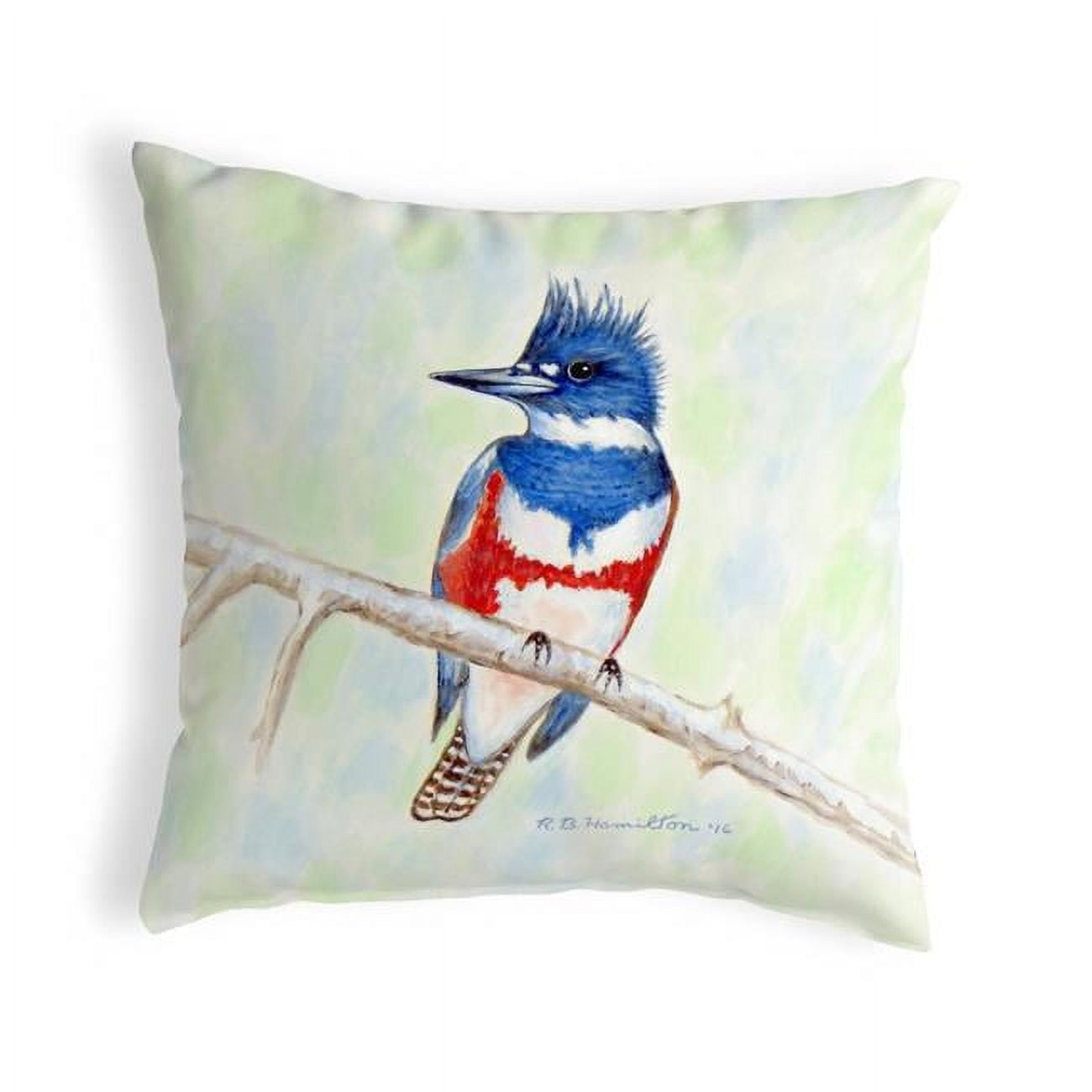12 x 12 in. Kingfisher Small No-Cord Pillow