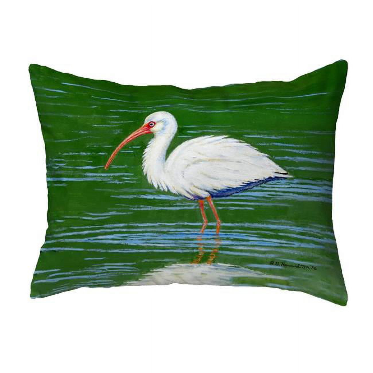 11 x 14 in. Dicks White Ibis Small No-Cord Pillow