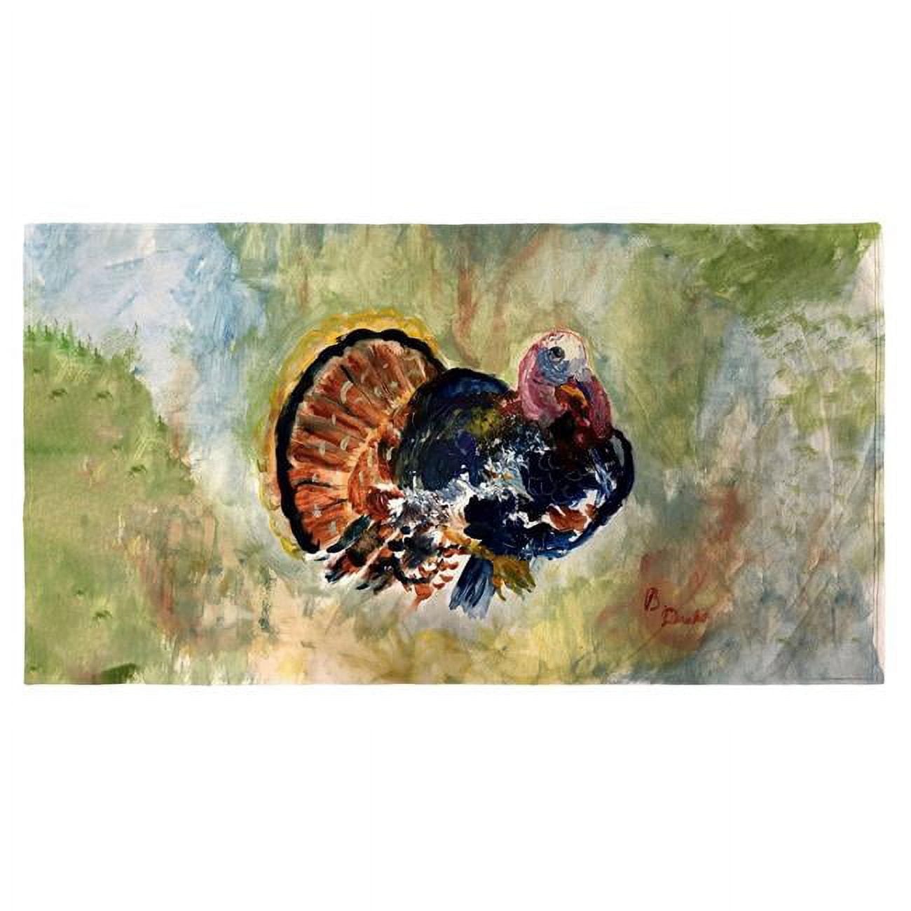 30 x 50 in. Colorful Turkey Beach Towel