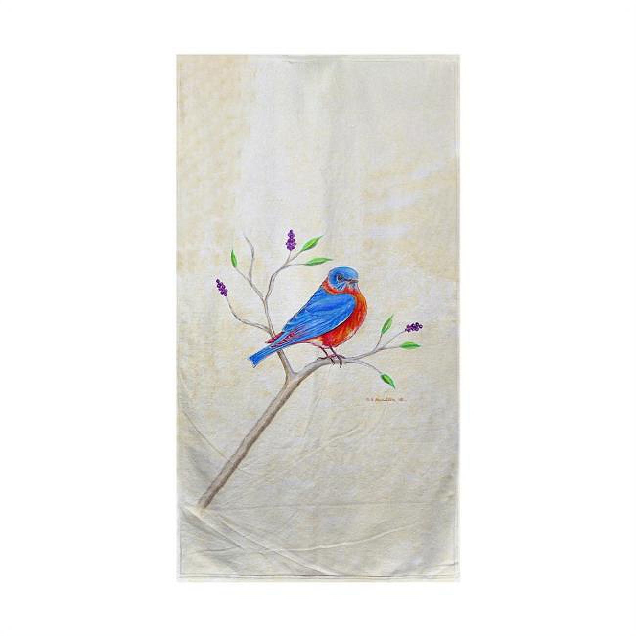 Dicks Blue Bird Beach Towel
