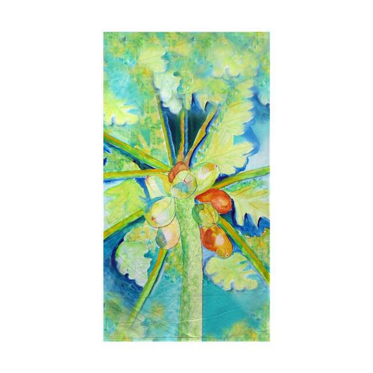 BT1100 Big Cocoa Nuts Beach Towel