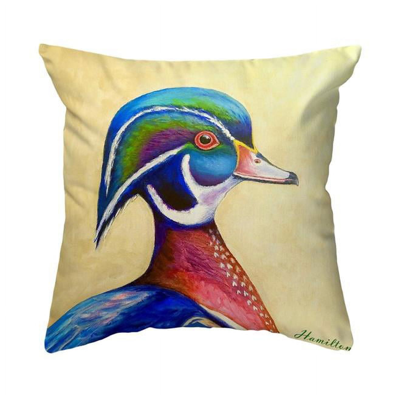 18 x 18 in. Mr. Wood Duck Noncorded Pillow - Large