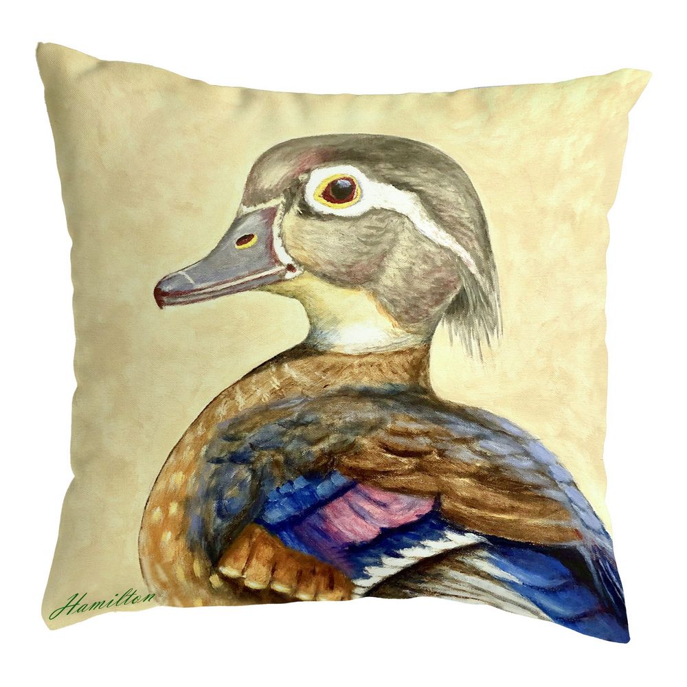 12 x 12 in. Mrs. Wood Duck Noncorded Pillow - Small