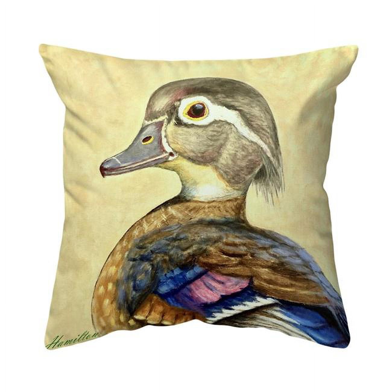 18 x 18 in. Mrs. Wood Duck Noncorded Pillow - Large