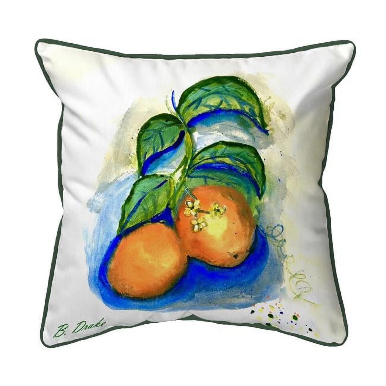 12 x 12 in. Two Oranges Indoor & Outdoor Pillow - Small