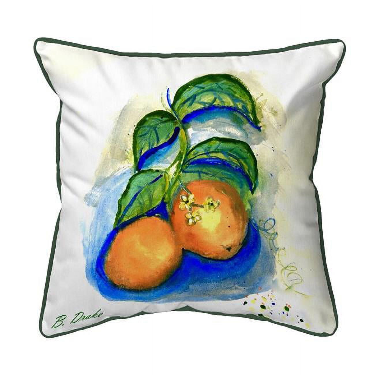 22 x 22 in. Two Oranges Zippered Indoor & Outdoor Pillow - Extra Large