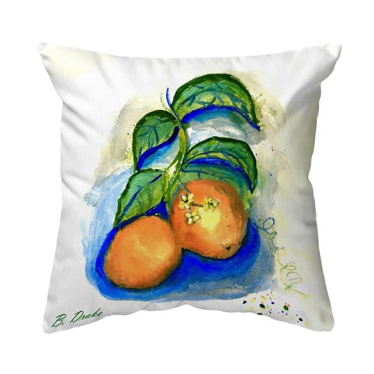 18 x 18 in. Two Oranges Noncorded Pillow - Large