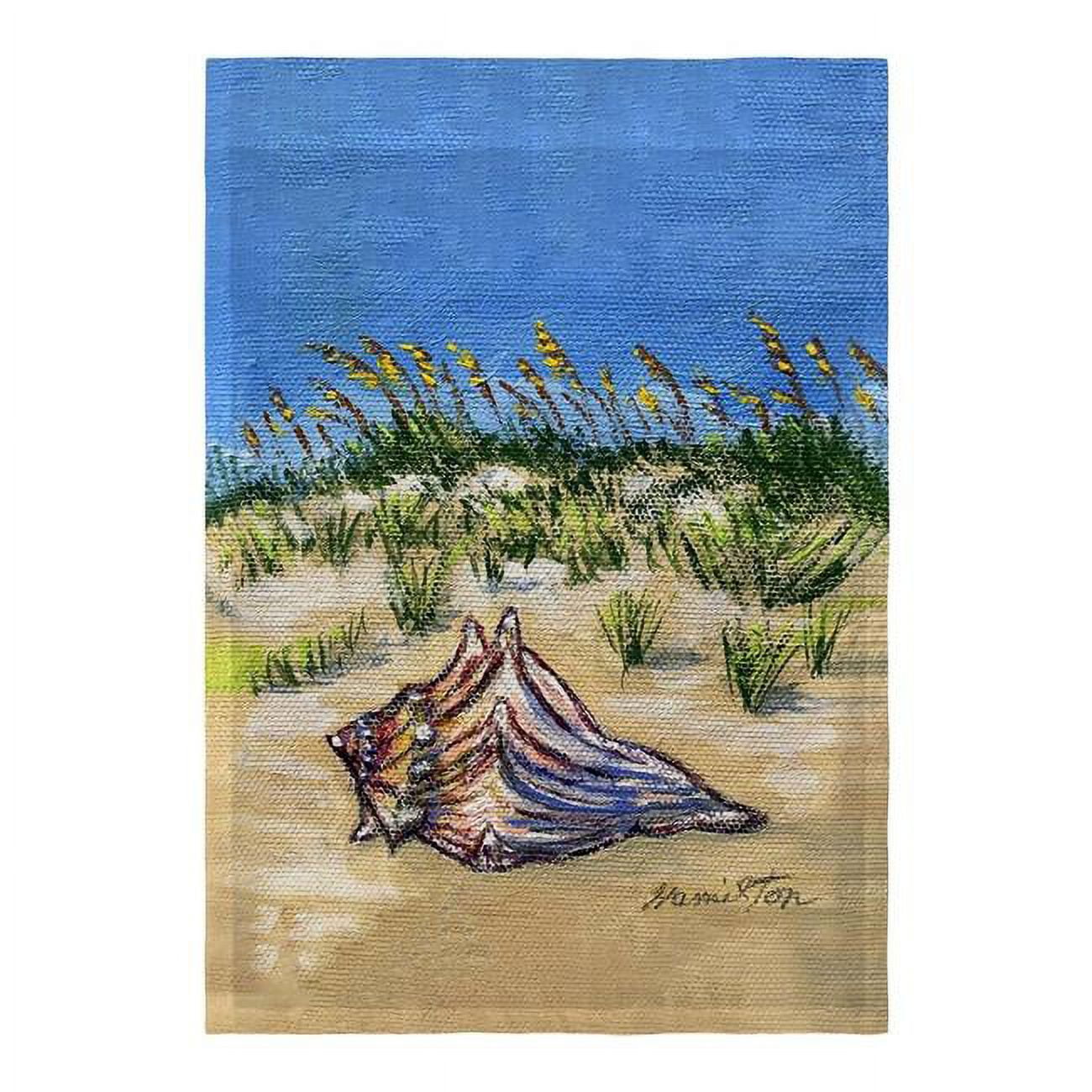 12.5 x 18 in. Conch Found Flag