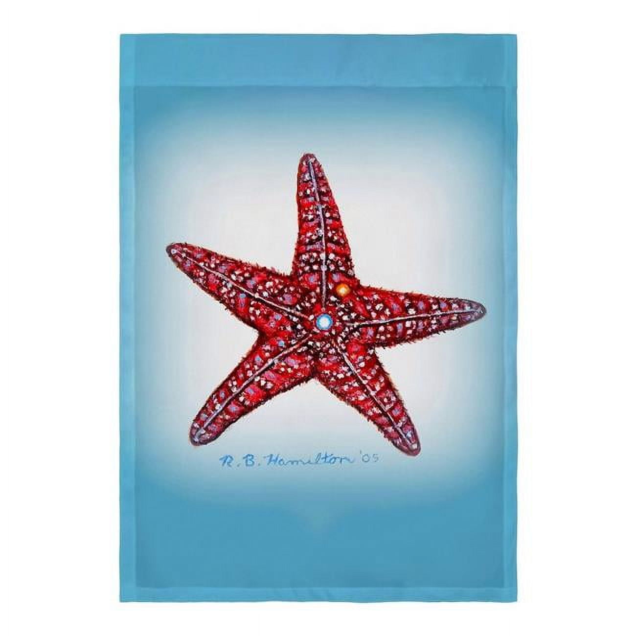 12.5 x 18 in. Dicks Starfish Flag