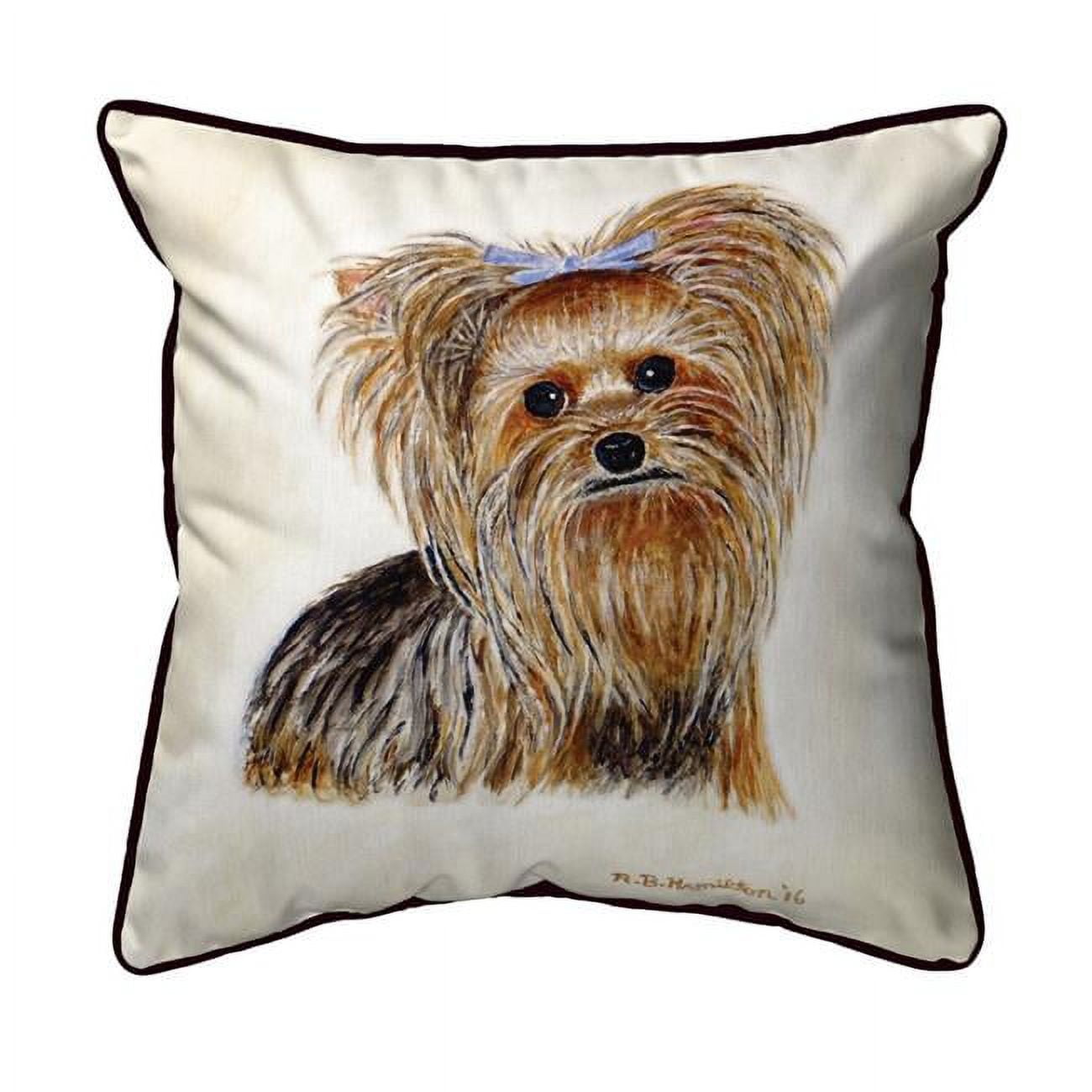 11 x 14 in. Gabby Indoor & Outdoor Pillow, Small