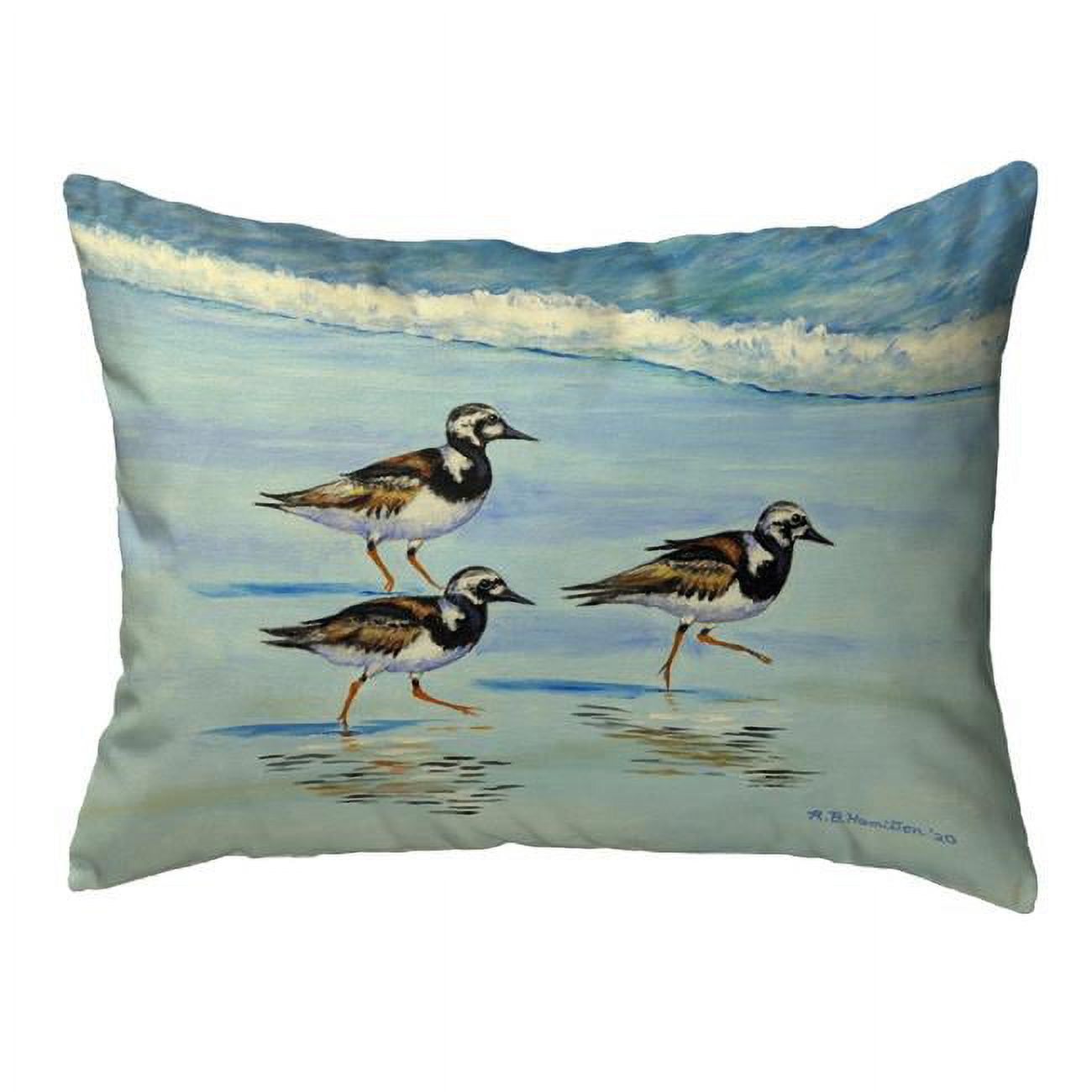 11 x 14 in. Ruddy Turnstones Noncorded Pillow, Small