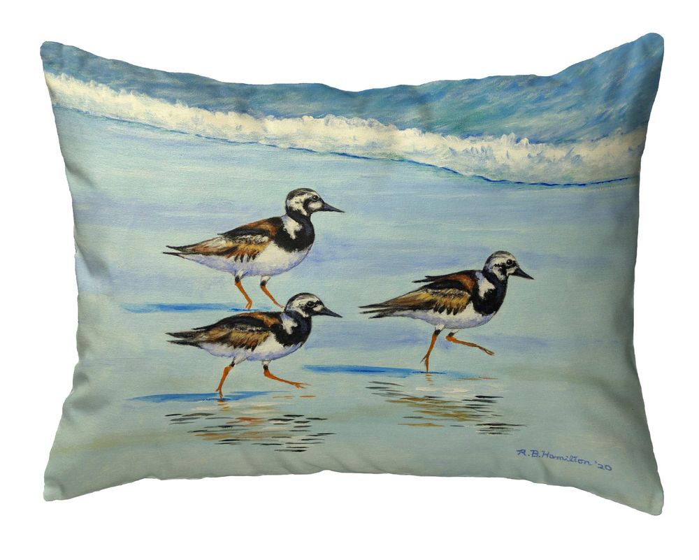 16 x 20 in. Ruddy Turnstones Noncorded Pillow, Large