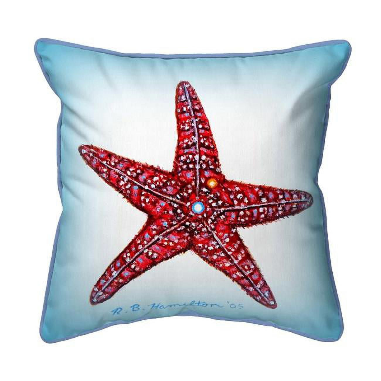 18 x 18 in. Dicks Starfish Indoor & Outdoor Pillow, Large