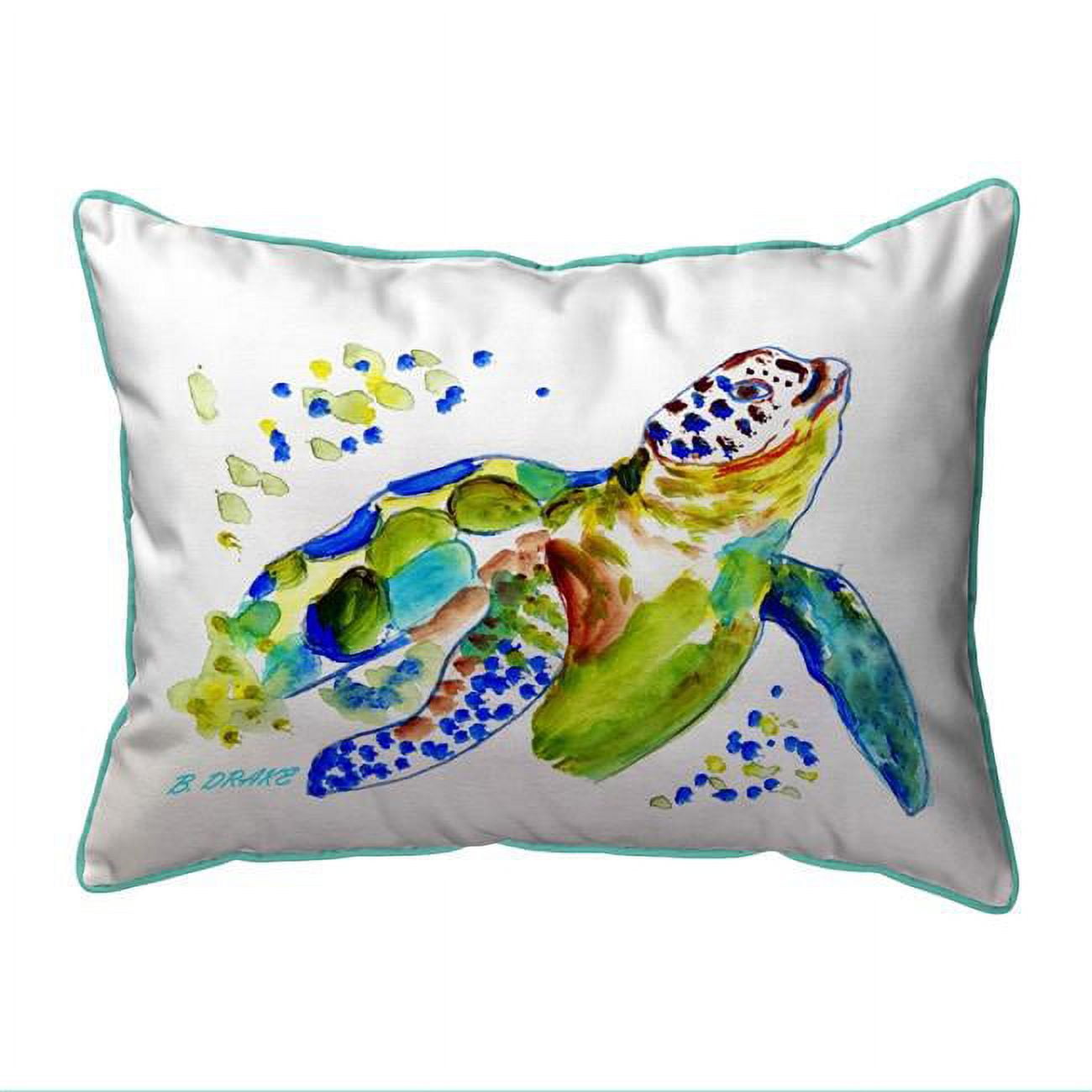 HJ1170 16 x 20 in. Baby Sea Turtle Indoor & Outdoor Pillow, Large