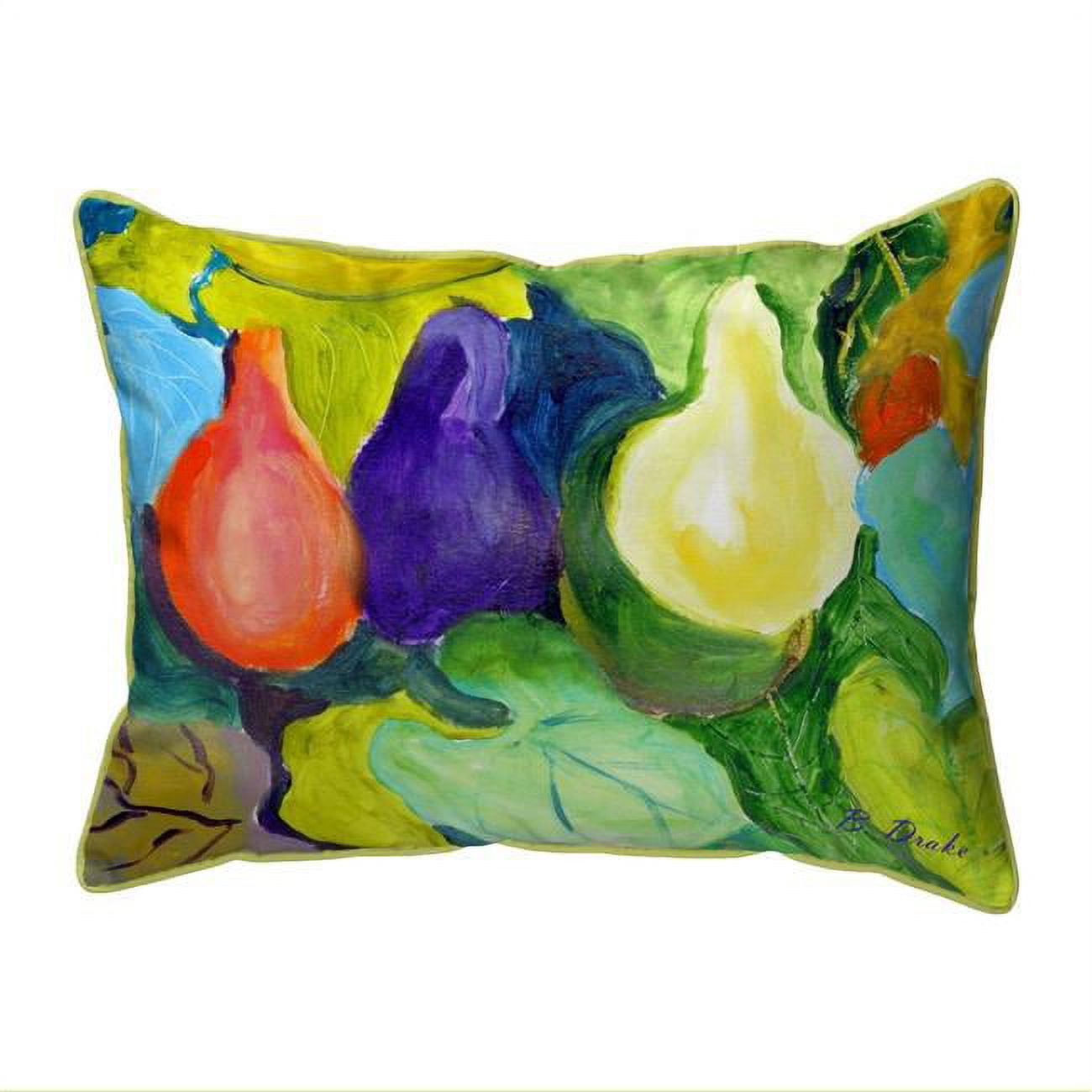HJ1147 16 x 20 in. Gourds Indoor & Outdoor Pillow, Large