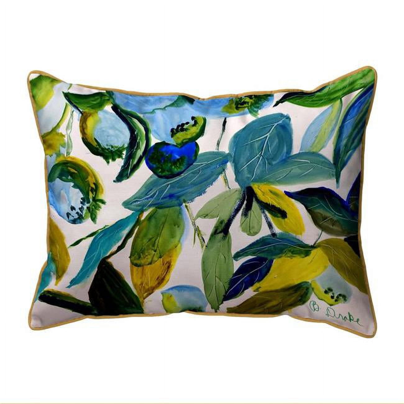 HJ1158 16 x 20 in. Blueberries Indoor & Outdoor Pillow, Large
