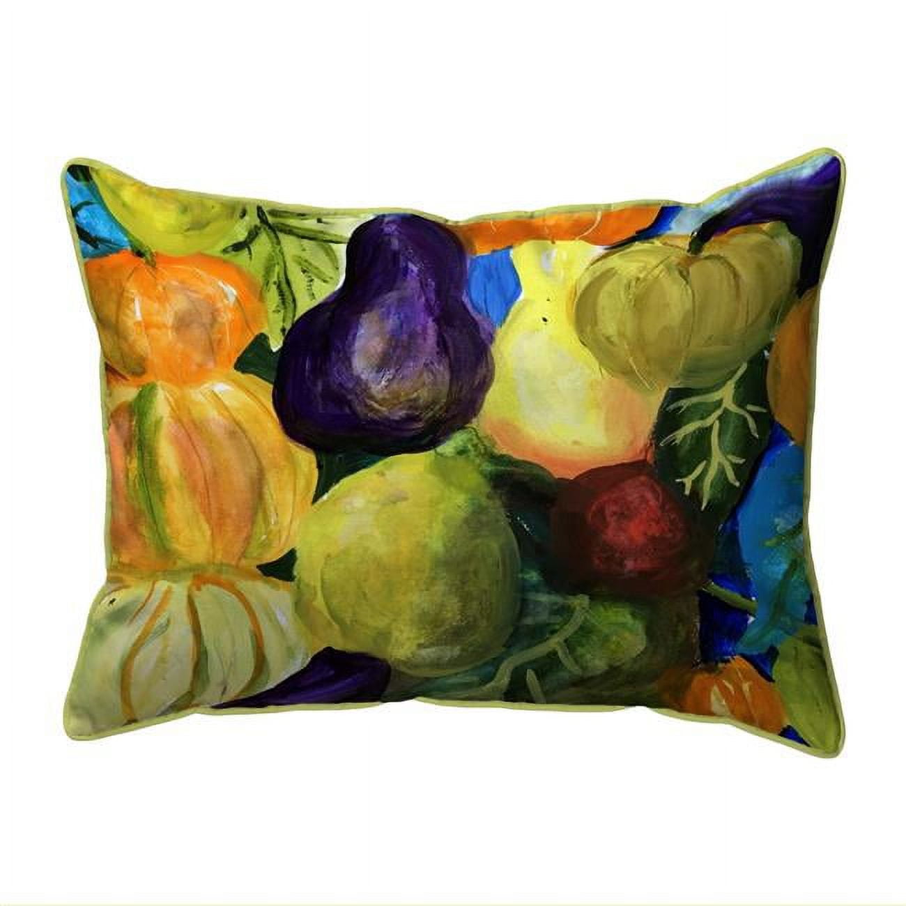 HJ1159 16 x 20 in. Gourds II Indoor & Outdoor Pillow, Large