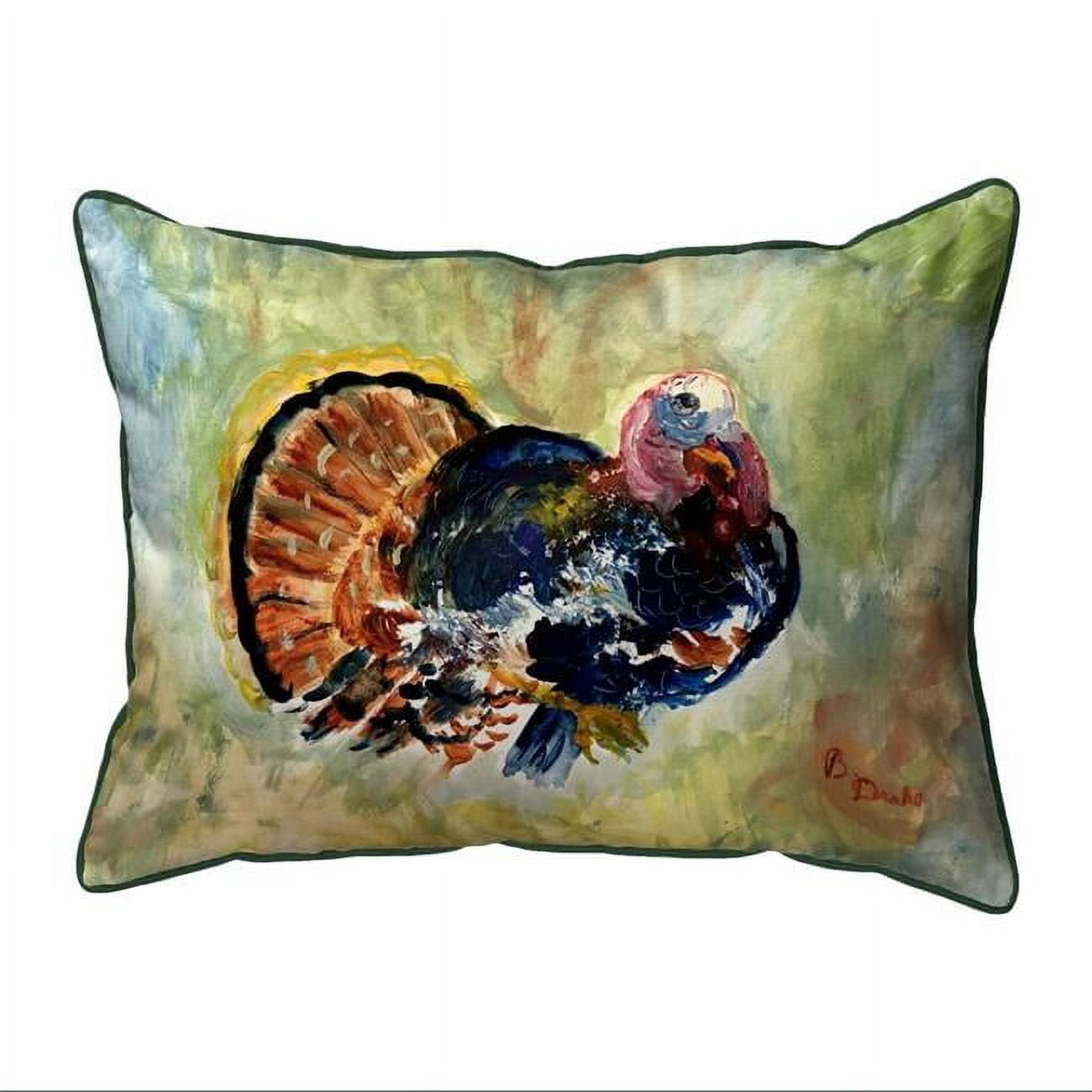 HJ1165 16 x 20 in. Colorful Turkey Indoor & Outdoor Pillow, Large