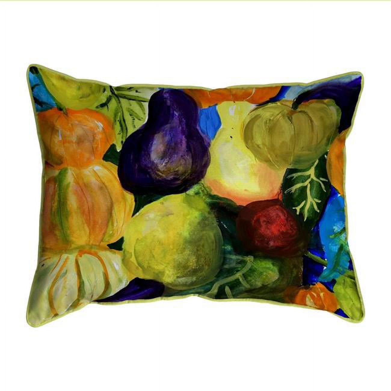 11 x 14 in. Gourds II Indoor & Outdoor Pillow, Small