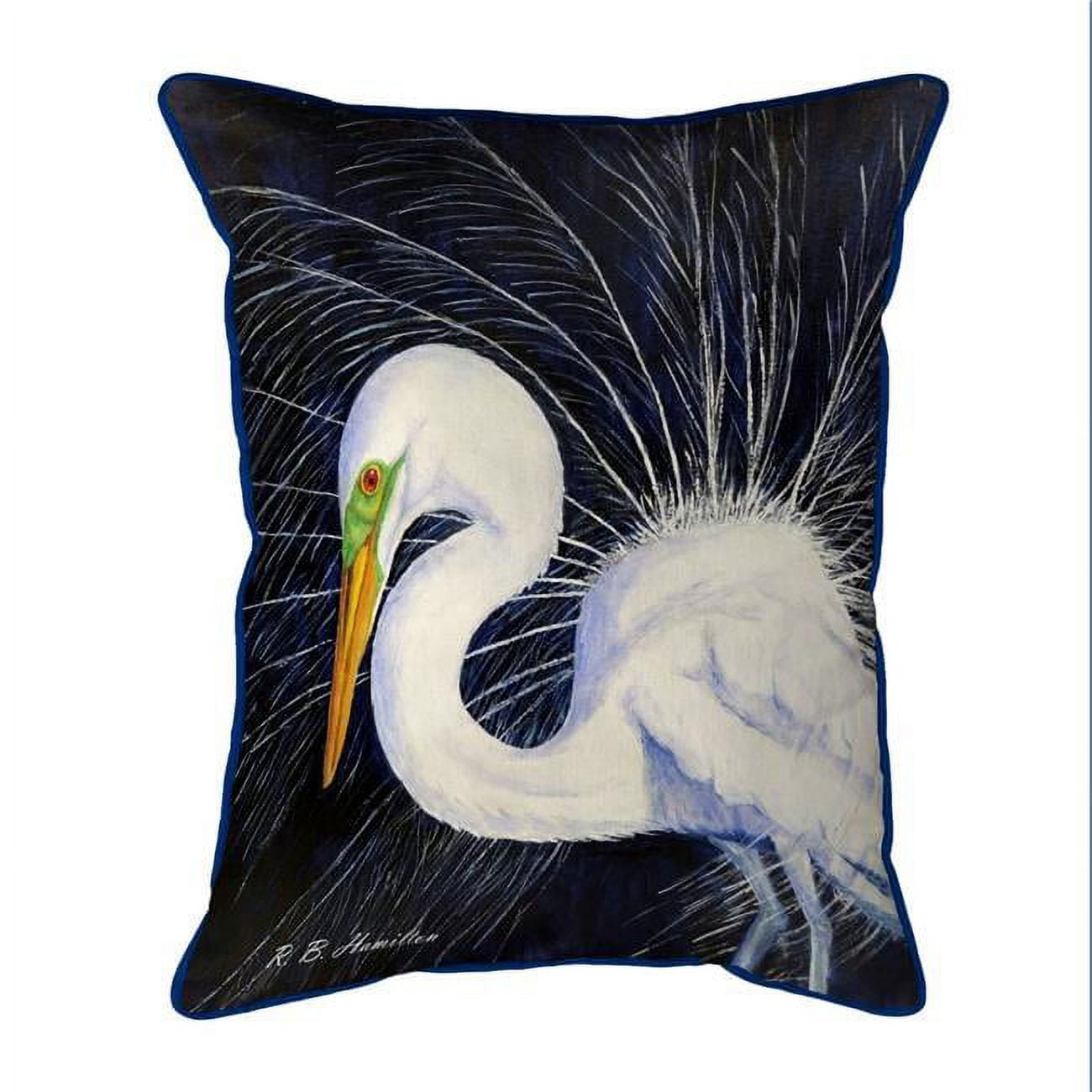 20 x 24 in. Breeding Egret Zippered Pillow, Extra Large