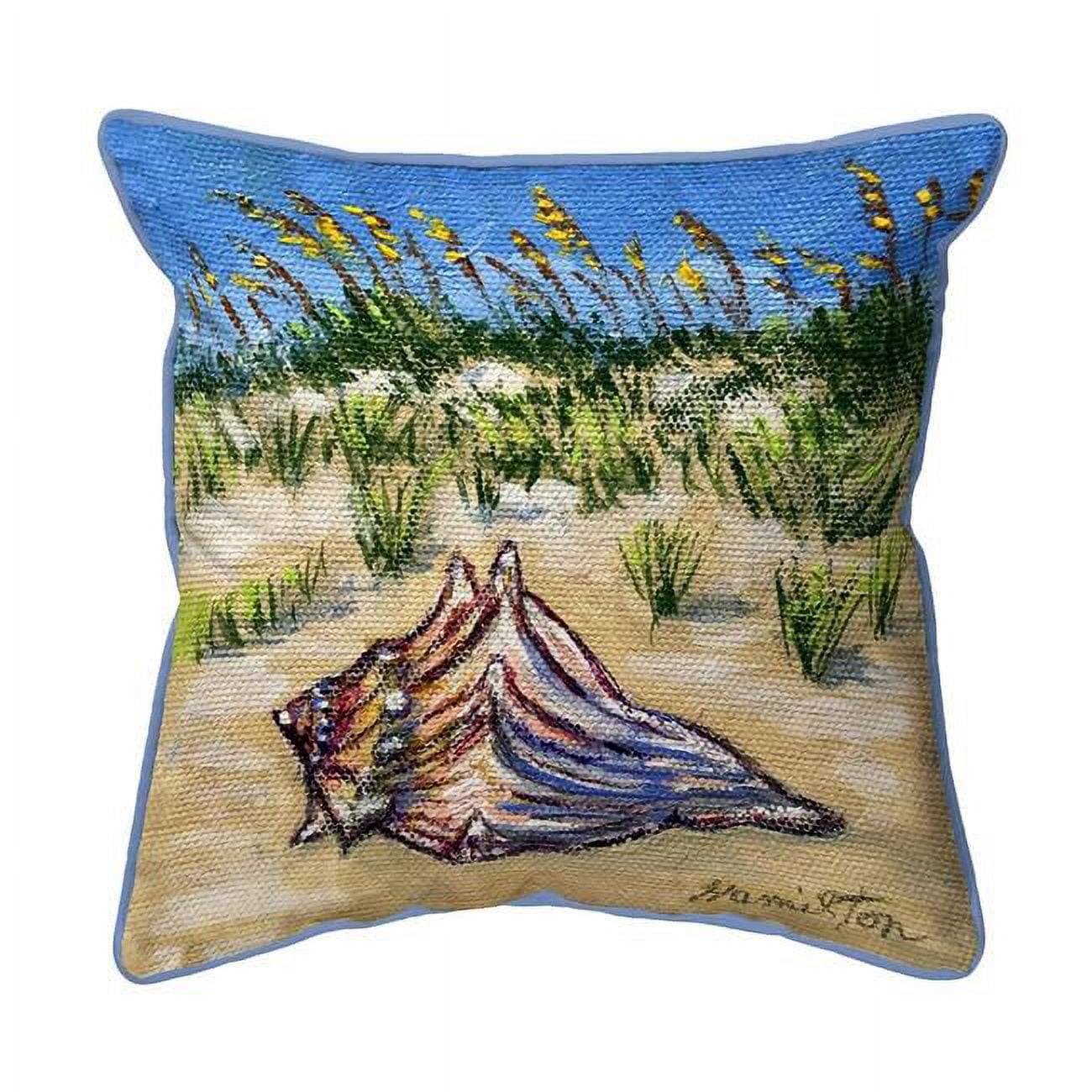 22 x 22 in. Conch Found Zippered Indoor & Outdoor Pillow, Extra Large