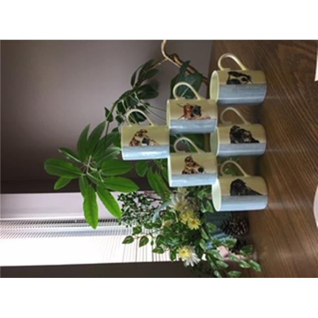 Picture of Roy Kirkham ER21147 LUCY MUG-DOG THROUGH THE DOOR, Set of 6