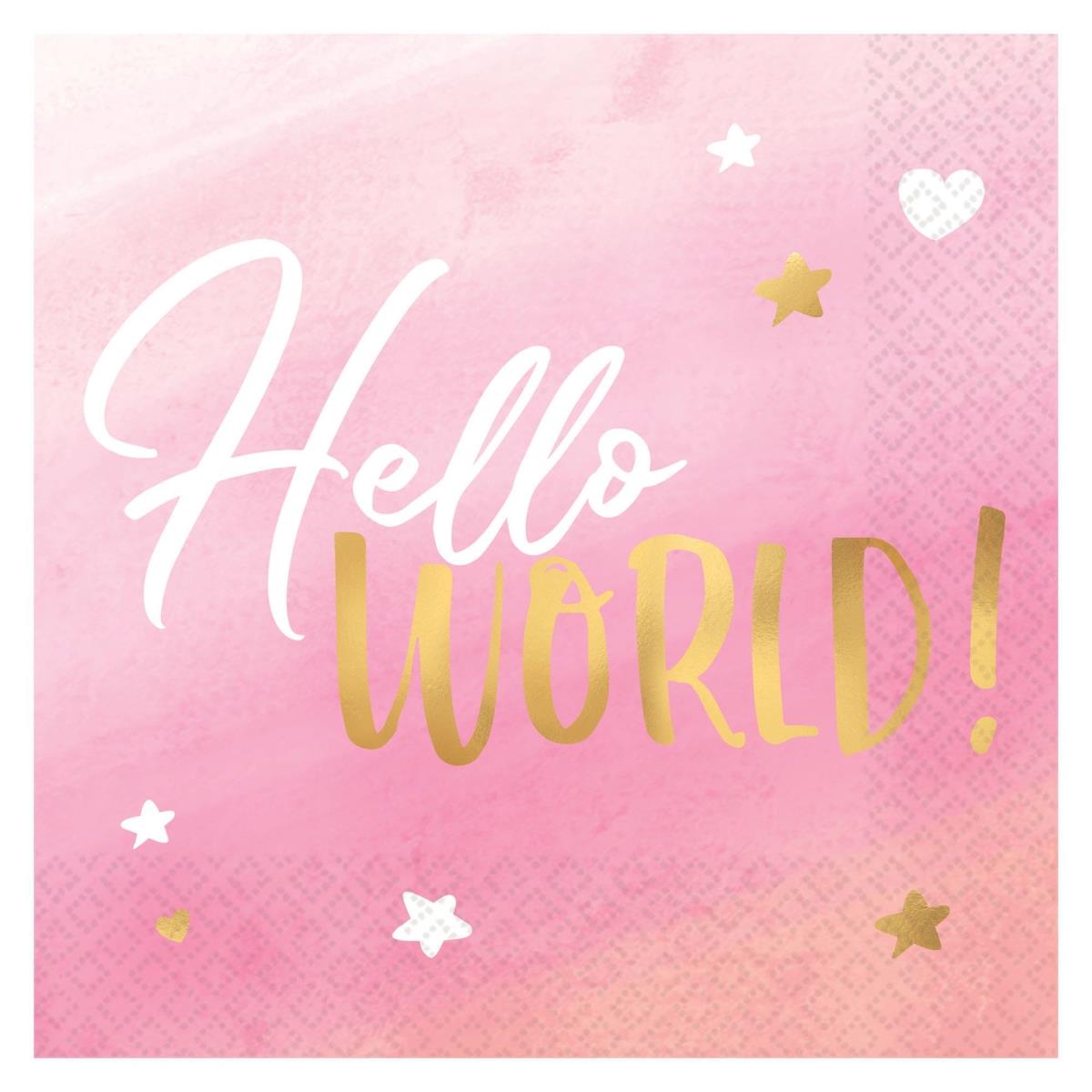 Picture of Amscan 644225 Hello World Girl Lunch Napkins - Pack of 16