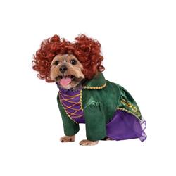 Picture of Rubies 656773 Hocus Pocus Winifred Pet Costume, Extra Large