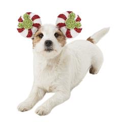 665226 Mickey Mouse Candy Cane Pet Accessory, Medium & Large -  Ruby Slipper Sales