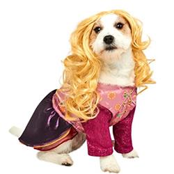 665169 Polyester Disney Hocus Pocus Sarah Sanderson Pet Costume - Small -  Ruby Slipper