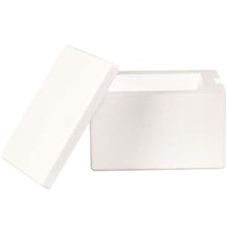 Insulated Foam Container, 8 in Length, 6 in Width, 4 1/4 in Height, Polystyrene Foam, White, 12 PK
