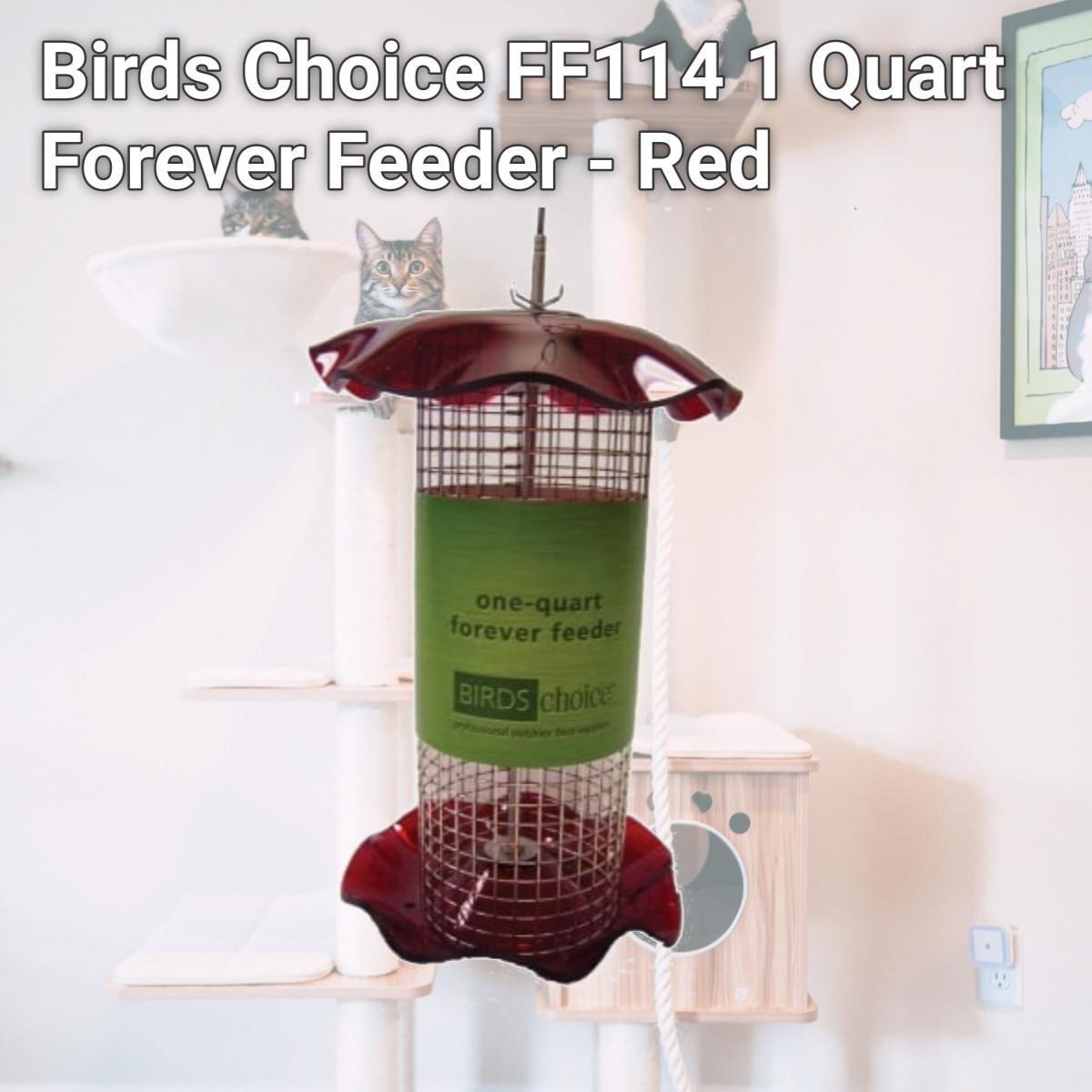 Picture of Birds Choice FF114 1 Quart Forever Feeder - Red