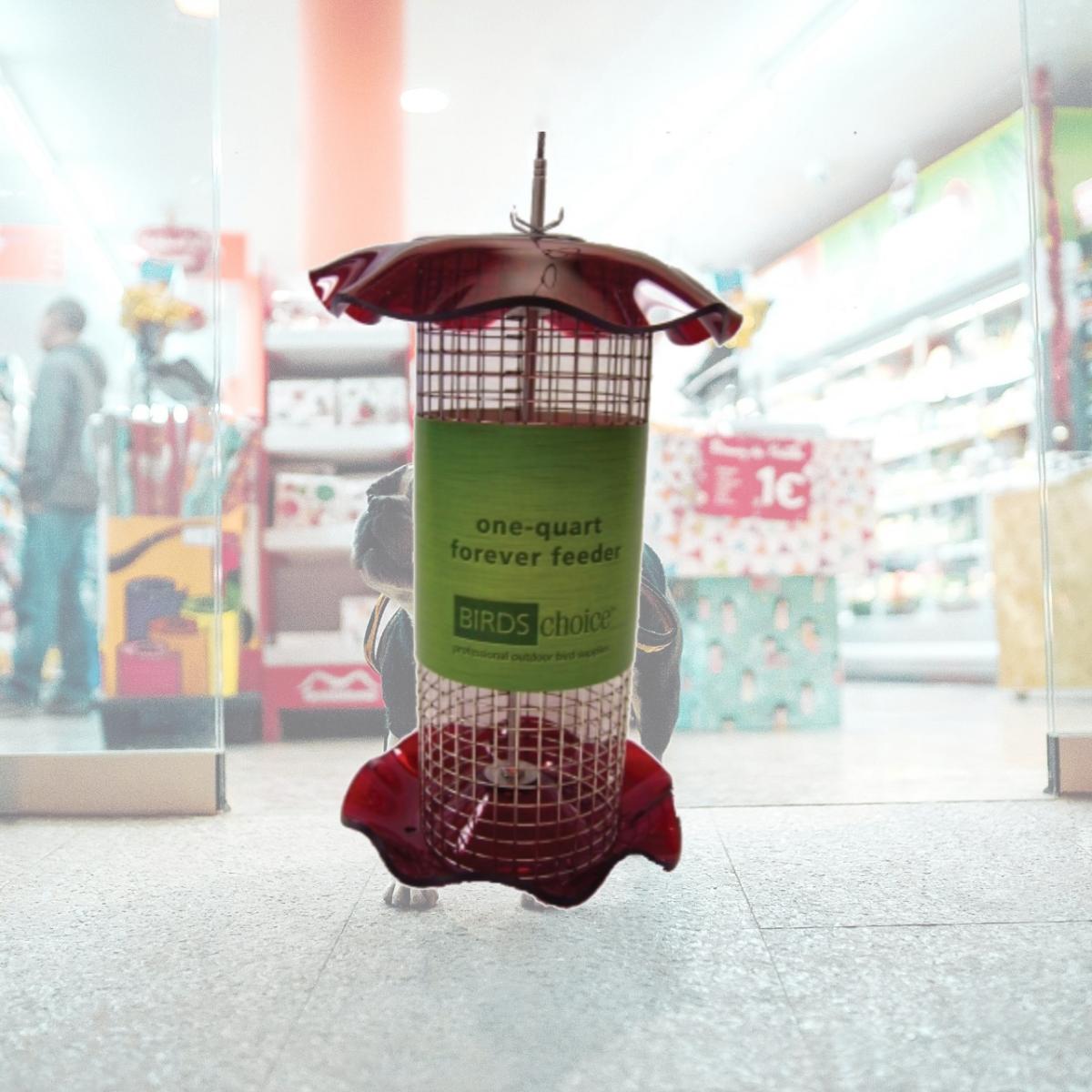 Picture of Birds Choice FF114 1 Quart Forever Feeder - Red