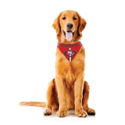 Chicago Bulls Pet Bandanna Size M