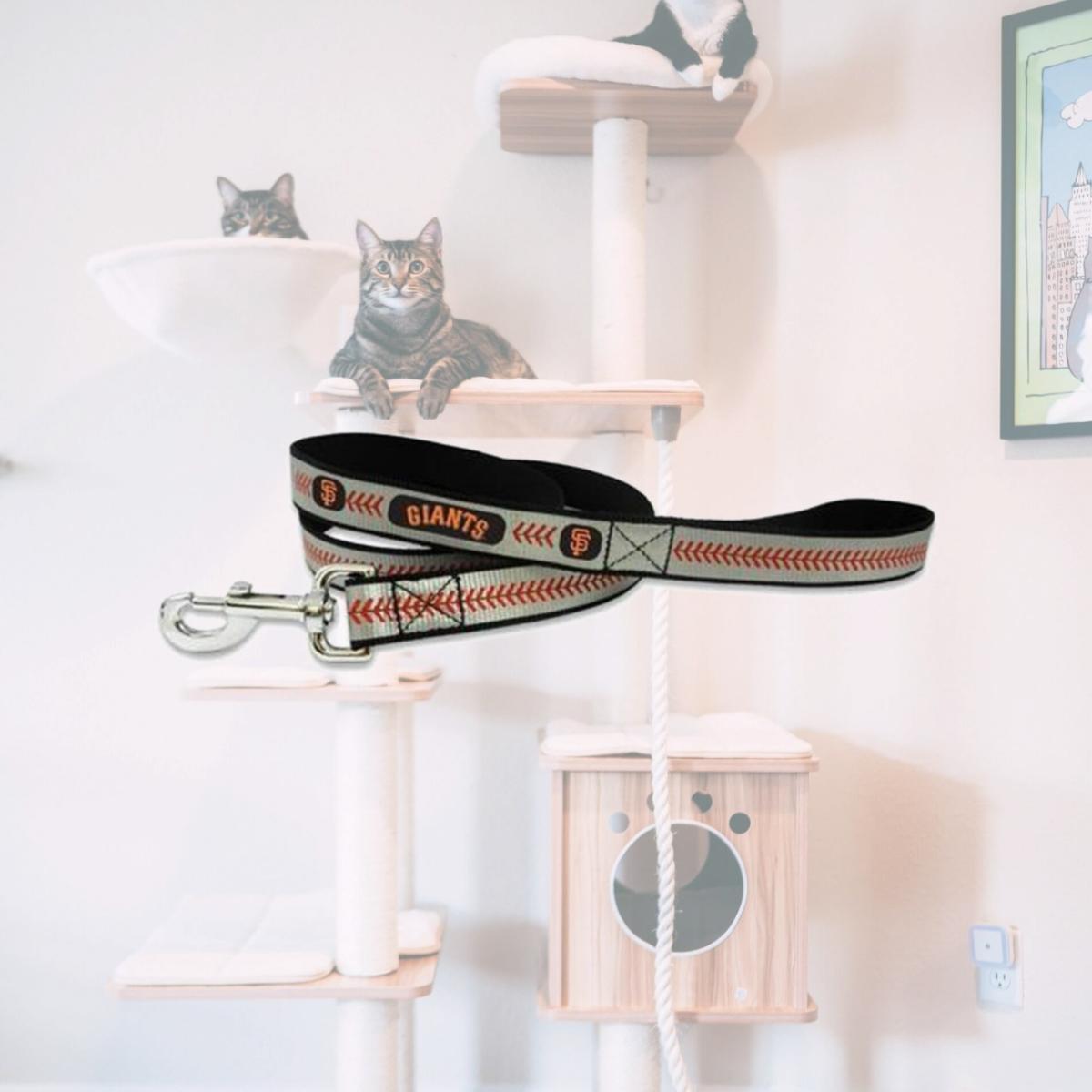 Picture of San Francisco Giants Reflective Baseball Leash - S