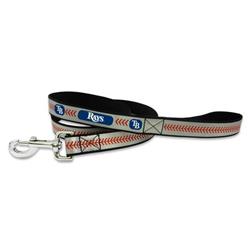 Picture of Tampa Bay Rays Reflective Baseball Leash - L