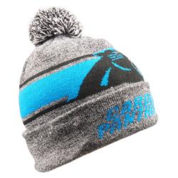 Carolina Panthers Gray Stripe Light Up Beanie