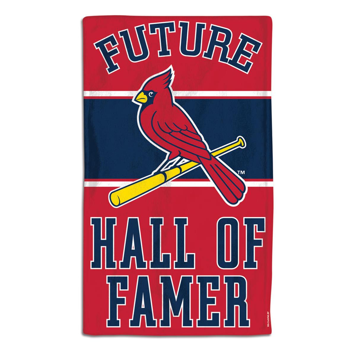 9960627663 10 x 17 in. St. Louis Cardinals Baby Burp Cloth