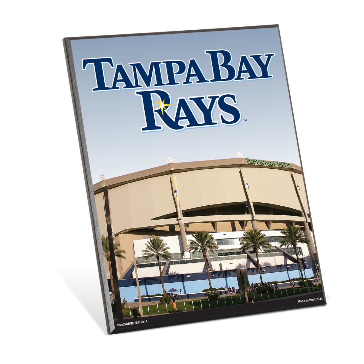 3208518449 8 x 10 in. Tampa Bay Rays Sign - Wood