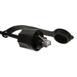 Cat6 Waterproof Outdoor Ethernet Patch Cable With Cap, POE Compliant, 50 foot