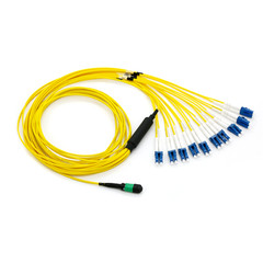 CableWholesale  Plenum Fiber Optic Cable, 100 Gigabit Ethernet CFP & CXP 100GBase-SR10 to MTP & LC 24 in. Breakout Cable, 9 by 125, 30 m
