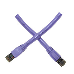Cablewholesale  2 ft. 40Gbps 2000MHz RJ45 Male Cat8 Purple S-FTP Ethernet Patch Cable with Molded Boot, 4-Pair 24AWG Stranded Pure Copper