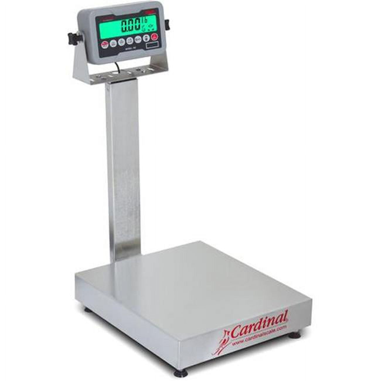 EB-15-185B 12 x 10 in. 15 lbs Stainless Steel 185B Indicator Electronic Bench Scale -  Cardinal & Detecto