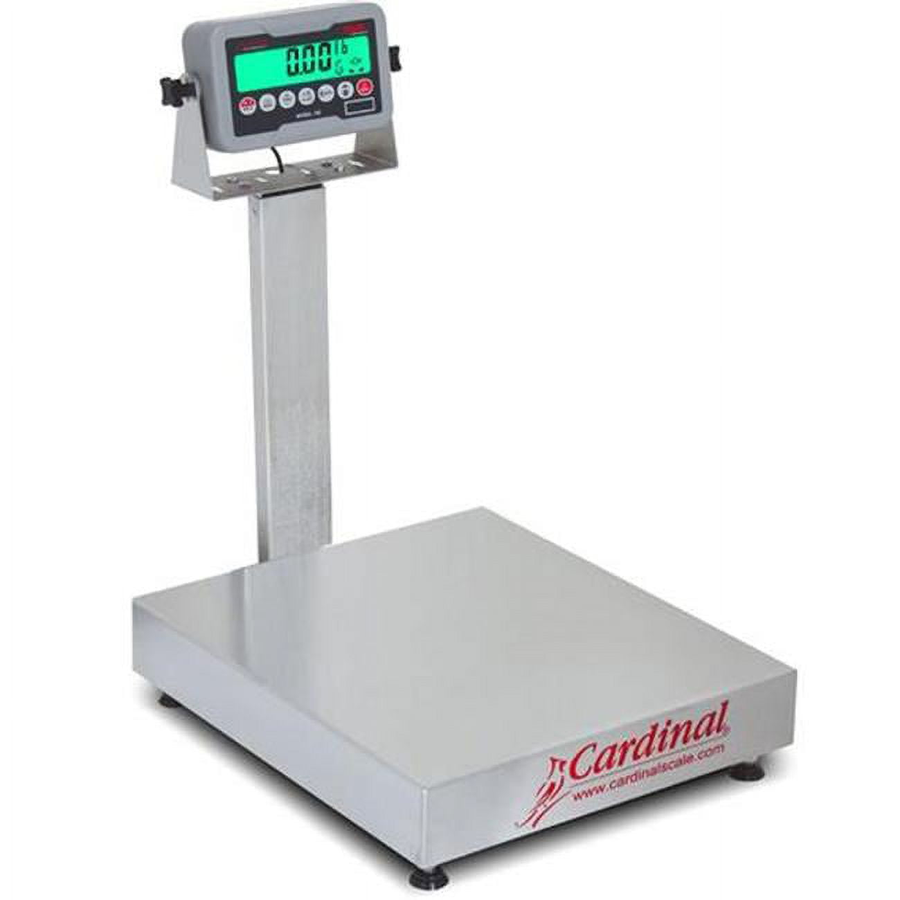 16 x 14 in. 60 lbs Stainless Steel 185B Indicator Electronic Bench Scale