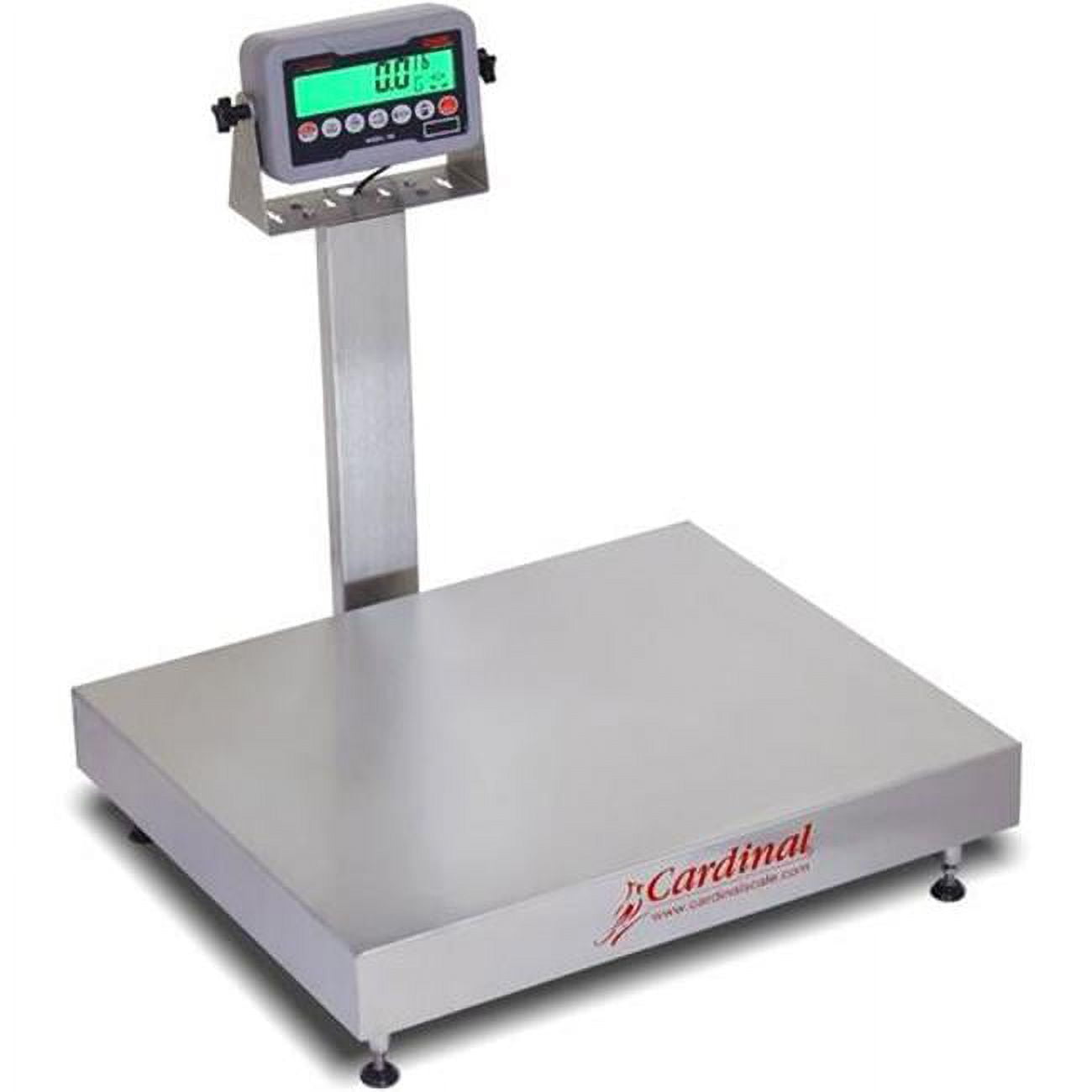 24 x 20 in.  300 lbs Stainless Steel 185B Indicator Electronic Bench Scale